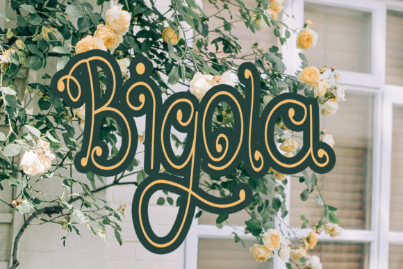 Bigola Font: A Web Designer’s Review for Digital Branding