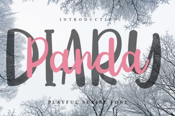 Diary Panda: A Playful Handwritten Font for Branding with Personality
