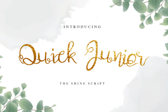 Quick Junior: A Script Font That Elevates Campaign Visuals with Elegance