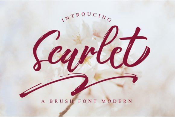 Scarlet: A Quirky Script Font for Modern Editorial Design