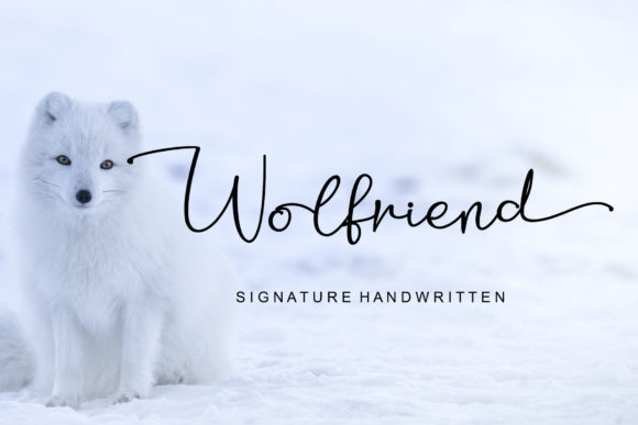 Wolfriend: How a Refined Calligraphy Typeface Can Elevate Your Campaign Visuals